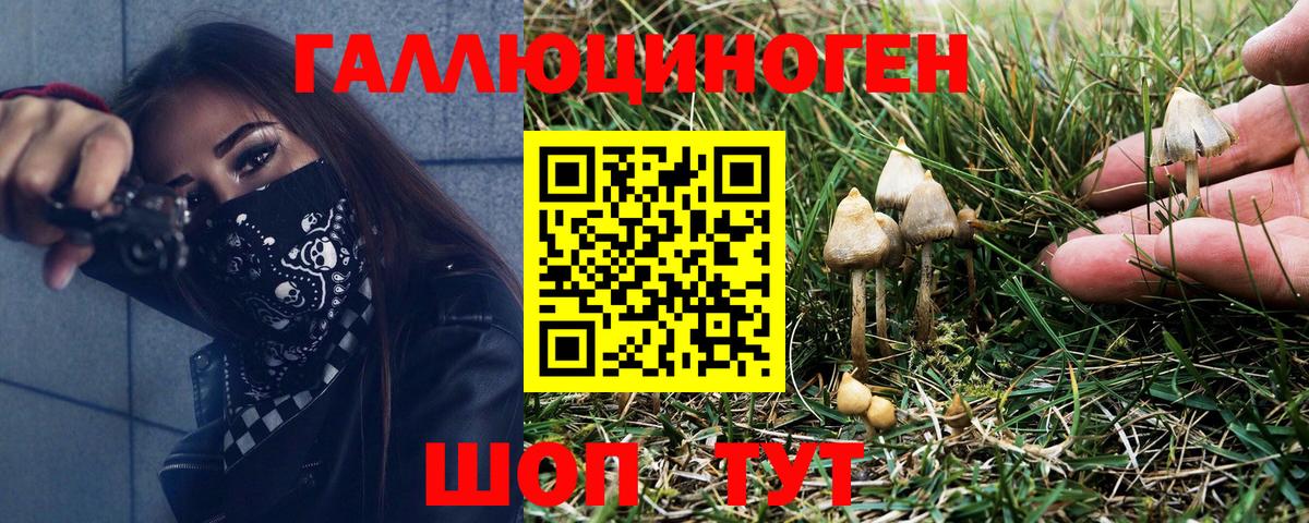 Сургут  Галлюциногенные грибы GOLDEN TEACHER  Галлюциногенные грибы прущие грибы  Вход с VPN 