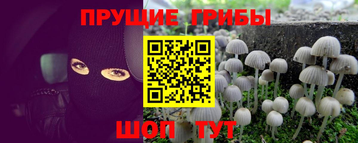 Псилоцибиновые грибы Magic Shrooms Сургут